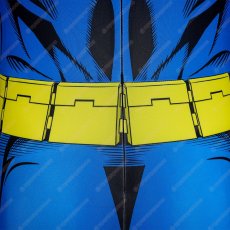 画像14: 高品質 実物撮影 ナイトウィング Nightwing 	Titans タイタンズ  風 コスチューム コスプレ衣装 (14)