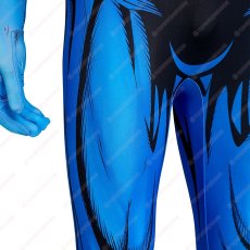 画像17: 高品質 実物撮影 ナイトウィング Nightwing 	Titans タイタンズ  風 コスチューム コスプレ衣装 (17)