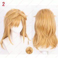 画像2: 高品質 実物撮影  リンク Link  ゼルダの伝説  風  コスプレウィッグ かつら cosplay wig 耐熱ウィッグ 専用ネット付 (2)